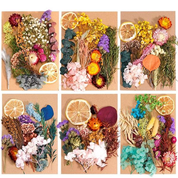 

1 box real dried flower dry plants for aromatherapy candle epoxy resin pendant necklace jewelry making craft diy acc qyllsm
