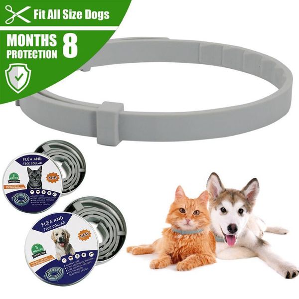 

dog collars & leashes 2021 8 month flea tick prevention collar for cats harness mosquitoes repellent insect coleira
