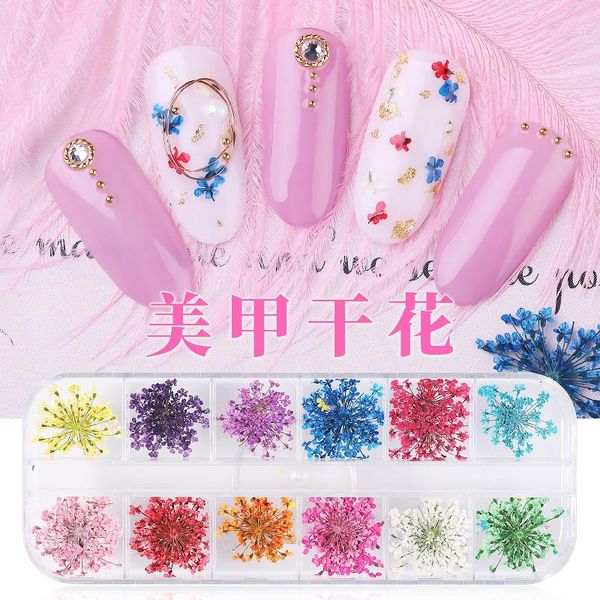 

nail art decorations 12 boxed dried flower set ornament color petal, Silver;gold