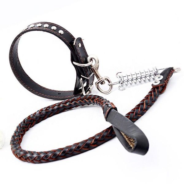 

dog collars & leashes pet products spring cowhide skin collar leads suit goods