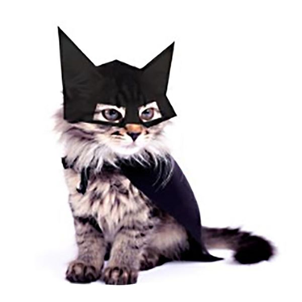 

cat costumes pet accessorie funny mask headgear halloween bat supplies hat
