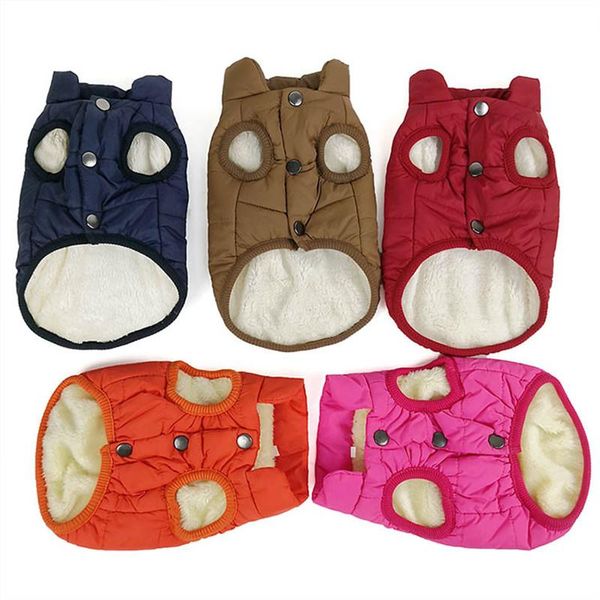 

dog apparel clothes