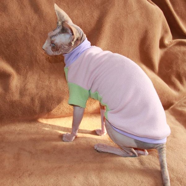 

cat costumes sphinx hairless clothes devin winter 100% cotton soft sweater