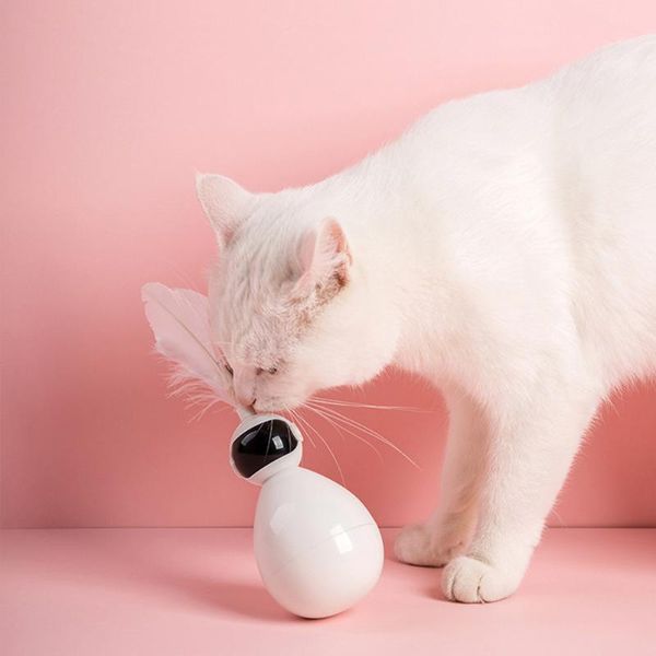 

cat toys portable pet funny scratching robot teaser playing kitten tumbler interactive feather supplies