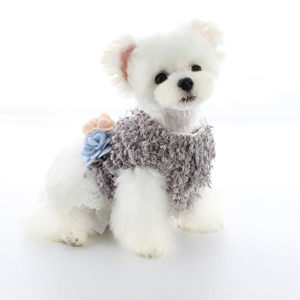 

pet clothing 2021 autumn and winter new dog cat cat clothes bichon clothes beanie lace skirt