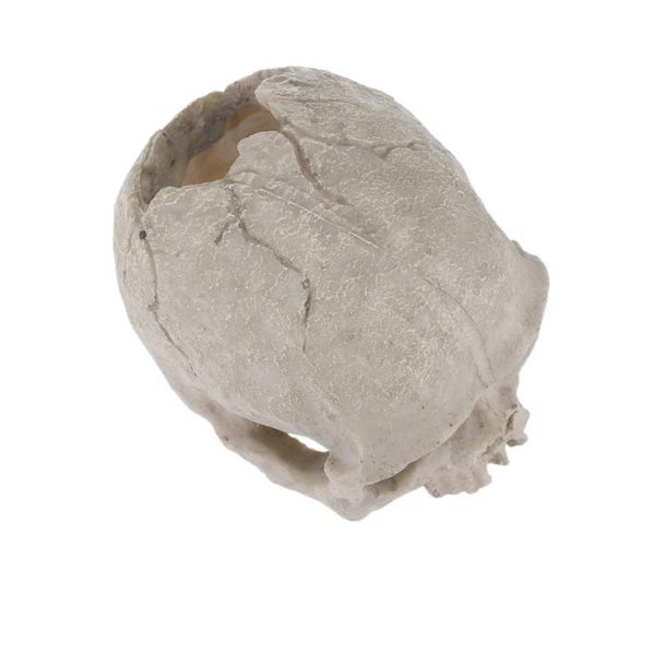 

decorations artificial decorative fish tank aquarium habitat props party supplies