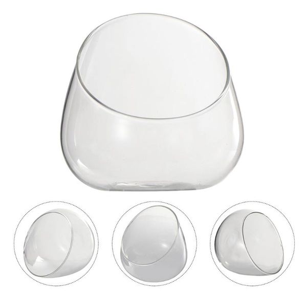 

vases 2pcs glass micro landscape bottles multi-functional household storage holders