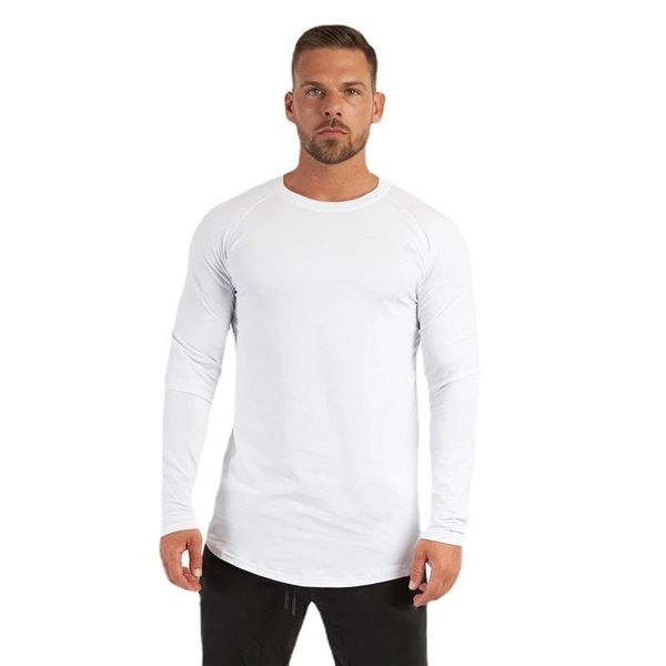 

men's t-shirts autumn cotton fitness long sleeve t shirt men spring slim sports t-shirt o-neck casual running tee gym bodybuilding tshi, White;black