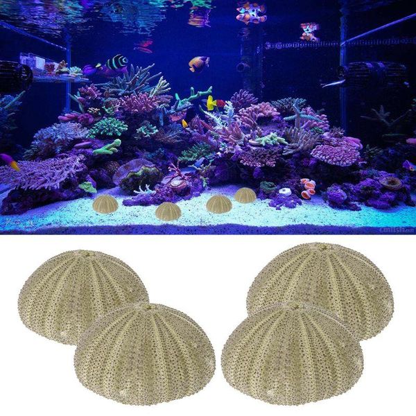 

natural sea urchin reptile box aquarium gardening decorations diy art craft ornament