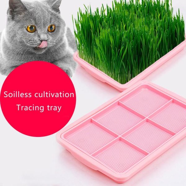 

cat toys grass planting box cats mint to the bulb type of hydroponic wheat