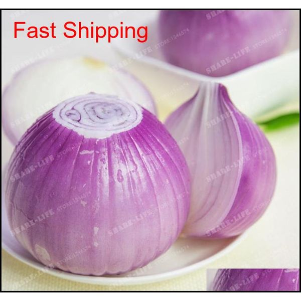 

100 pcs onion seeds vegetable 95% high germination vegetable chinese allium cepa healthy vegetabl qyllqh toys2010