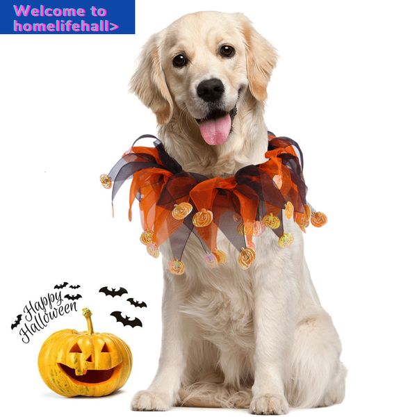 

supplies clothes hooded clothing color collar dog halloween matching festive accessories