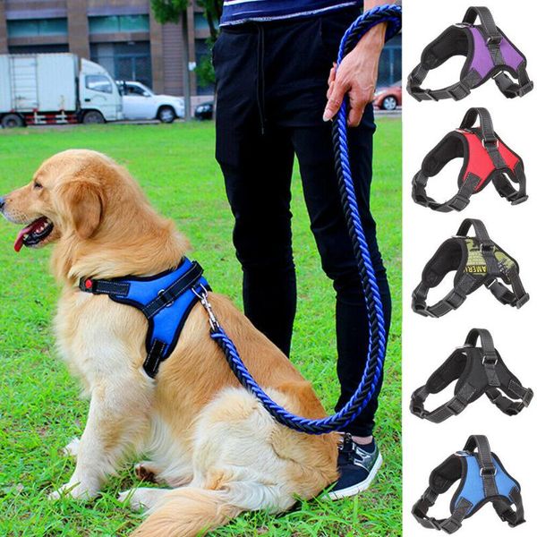 

dog collars & leashes harness collar lead adjustable resistant vest for pet puppy