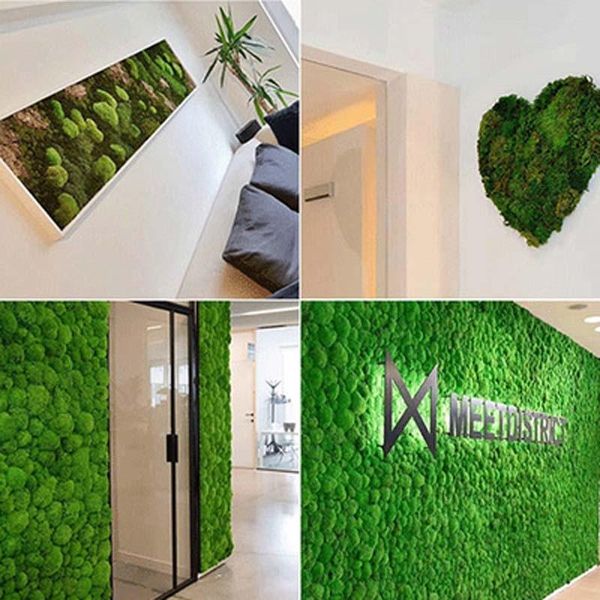 

decorative flowers & wreaths immortal mossmulti-color flowermaterial suitable for garden and homedecoration wedding partygift boxescompanyba