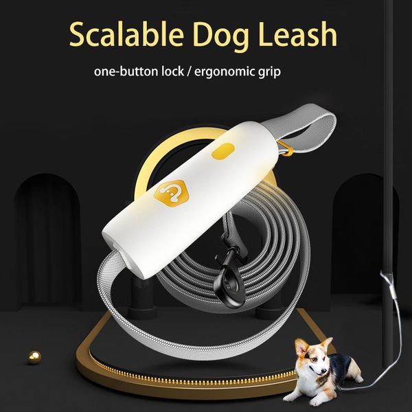 

reflective dog leash for small medium dogs leash rope hands elastic training running rope leashes pet products for pet pug