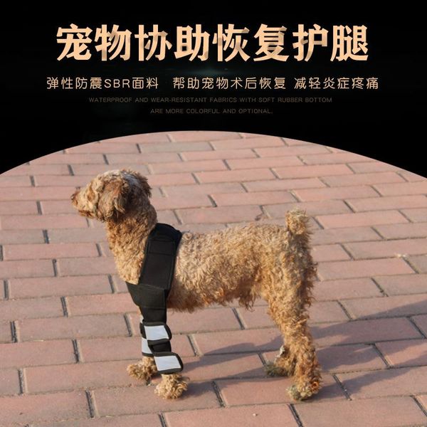 

dog apparel pet products disease hurt cure assistant tools knee pads