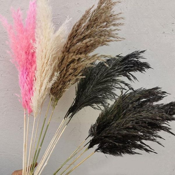 

decorative flowers & wreaths 5pcs 50-55cm dried pampas grass bunch pure flower indow natural display decoration wholesale reed plant home we
