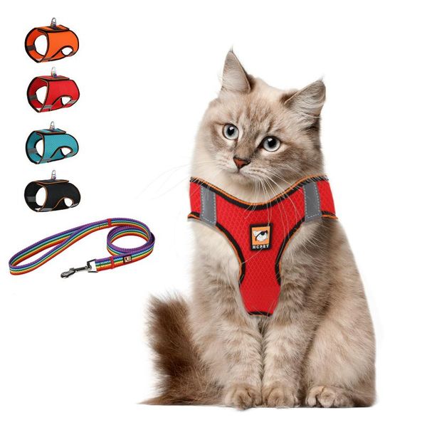 

dog collars & leashes cat and strap set pet products vip teddy