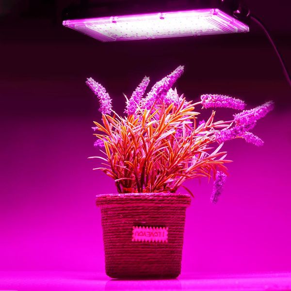 

50w 100w 220v plant light with hanging rope and european switch plug plant growth light fill for indoor dropshipping