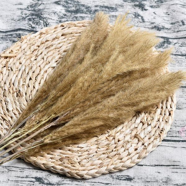 

decorative flowers & wreaths 10pcs artificial pampas grass bouquet bulrush natural dried small phragmites plants wedding flower bun1