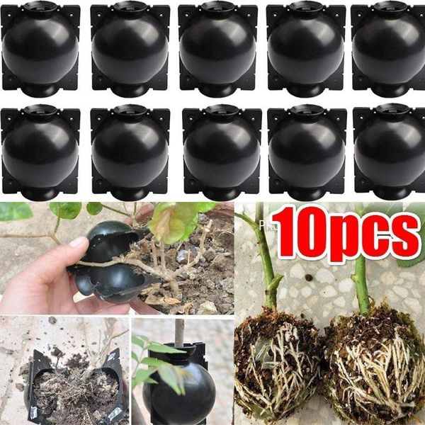

planters & pots 10pcs plant root growing box cutting grafting rooting garden propagation ball supplies