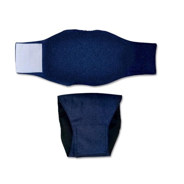 

dog apparel 1pcs diaper pants sanitary washable female puppy shorts panties menstruation briefs xs-l underwear