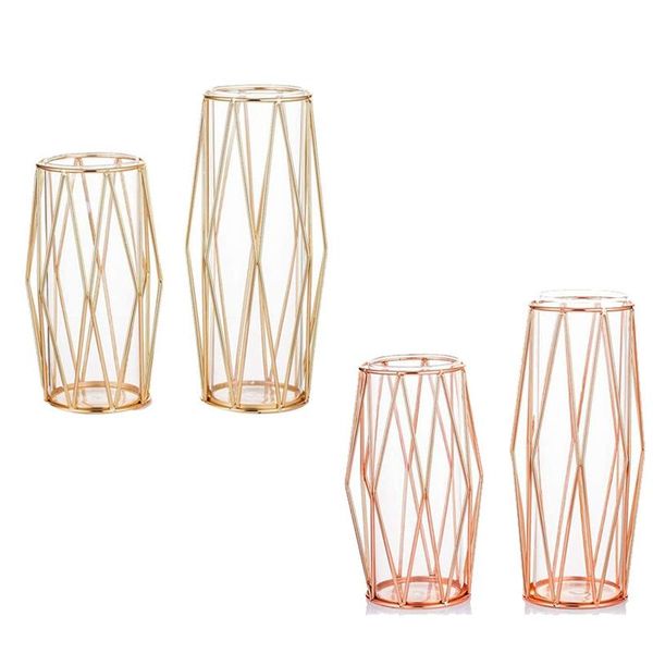 

clear glass vases with iron frame,flower vase,plants display holder,for table office home decor,11inch&8.5inch