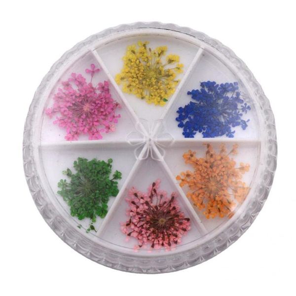 

nail art decorations beautify fingers mini 3d dried flower for female, Silver;gold