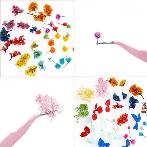 

1 box of dried flowers suitable for manicure and beauty makeup, natural flowers uv glue jewelry epoxy resin jllkfg