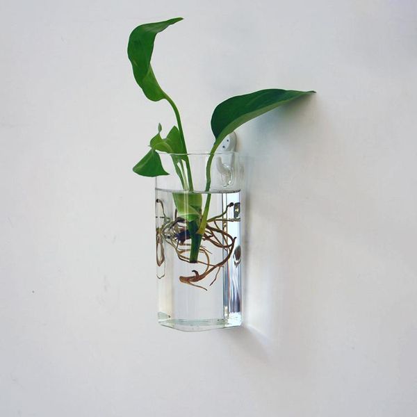 

rectangle hanging glass flower vase bottle hydroponic terrarium container