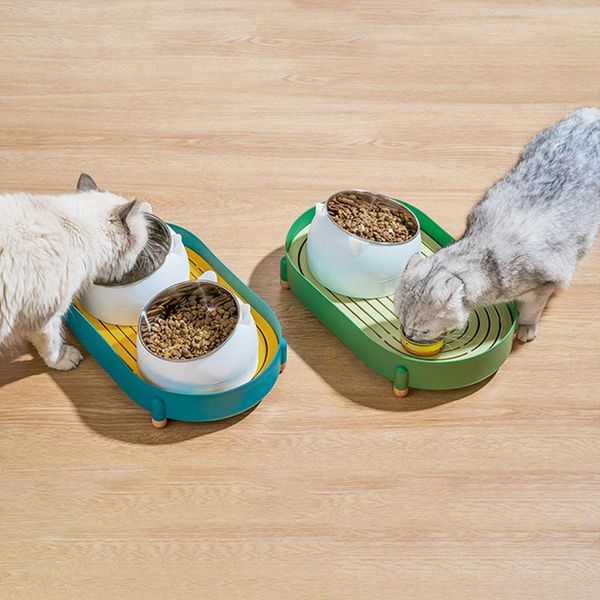 

cat bowls & feeders ceramic bowl double food water for cats automatic pet with dispenser feeder waterer accessories