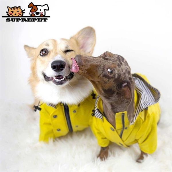 Suprepet roupas de estimação roupa para filhote de sopa impermeável jaqueta à prova de chuva à prova de chuva esporte hoodies hoodies popa perro 210729