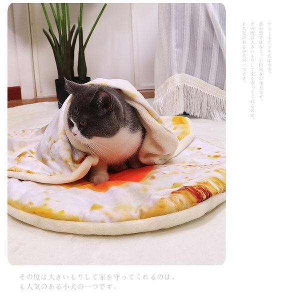 

cat beds & furniture comfort pet dog sleeping bed mat soft warm flannel blanket poached egg novelty sleep pad pizza blankets