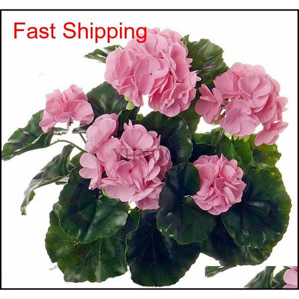 

real import geranium seeds perennial bonsai flower pelargonium plants potted for garden decorat qylmsb bdenet