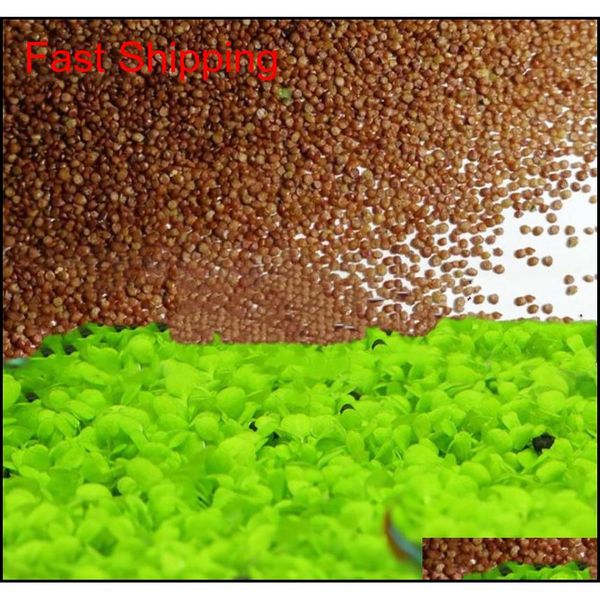 

wholesale garden fish tank aquarium plant seeds aquatic water grass ornamental plant home yard de qylrto dh_seller2010