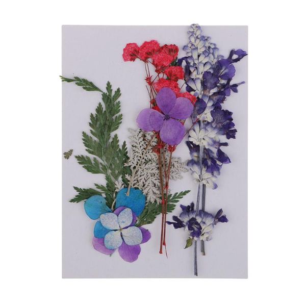 

assorted pressed flowers beautiful organic diy floral craft wedding home dec