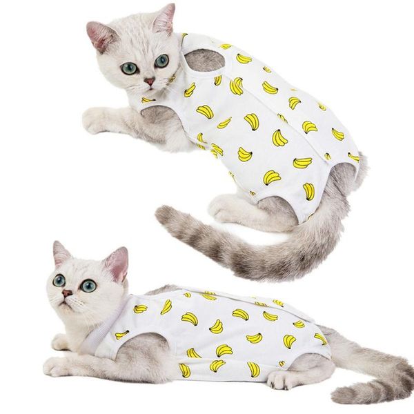 

cat costumes 1pc posrative recovery clothing summer clothes anti-licking weaning strawberry xl