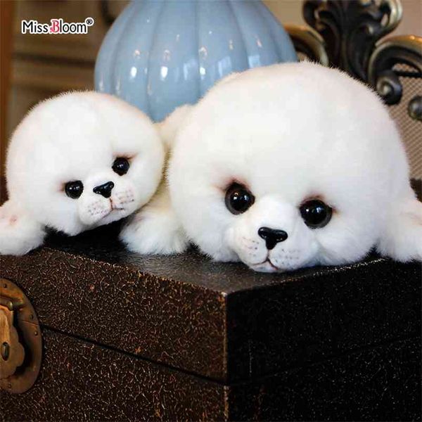 Drop Soft Cute Seals Peluche World Animal Lion Bambola di pezza Occhi grandi Regalo di compleanno per bambini per bambole per bambini 210728