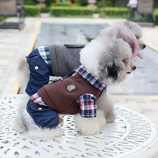 

new 2019 pet autumn and winter teddy dog clothing