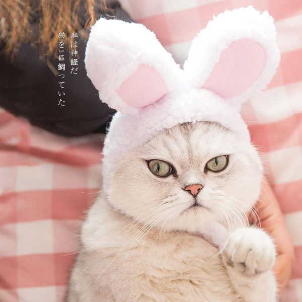 

cat costumes cute pet ear shape headgear hat costume cosplay for dog teddy bichon supplies