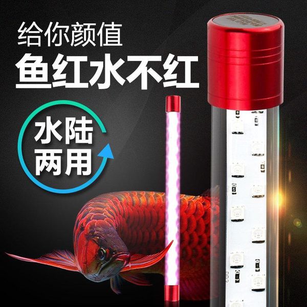 

aquariums lighting [aquarium] fish tank diving lamp waterproof golden red dragon special led water