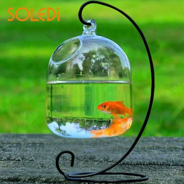 

vases aquarium glass vase fishbowl hydroponic hanging decoration