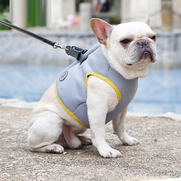 

dog collars & leashes summer cooling harness pet vest breathable mesh walking products for small meidum large dogs