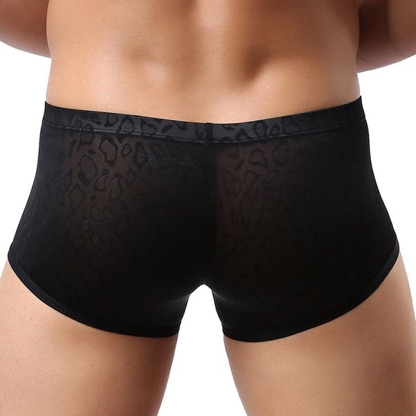 

underpants men's underwear lace mesh low waist boyshort mens boxers breathable ropa interior hombre, Black;white