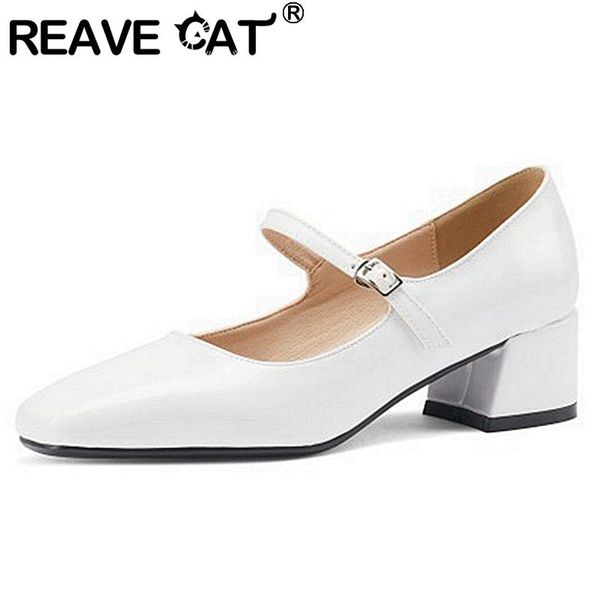 

reave cat new 2021 women pumps square toe 4.5cm block heels genuine leather buckle simple classic big size 43 casual a3780, Black