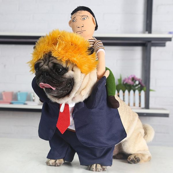 

cat costumes funny halloween pet transformation clothes upright and dog teddy creative christmas cosplay
