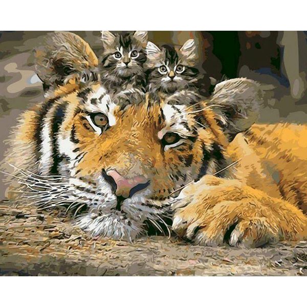 

paintings selilali oil painting by numbers kits for kids 40x50cm framed draw on canvas tiger and cat animal paint home decor