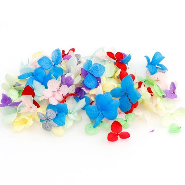 

10/50/100pcs mix color real hydrangea flower dry plants for dry flower diy epoxy resin crafts dry flowers f jllddr