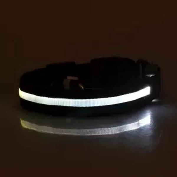 

dog collars & leashes led pet cat collar night safety luminous necklaces for outdoor walking