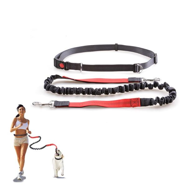 

dog collars & leashes fashion retractable hands leash for running dual handle bungee reflective large dogs pet accessories